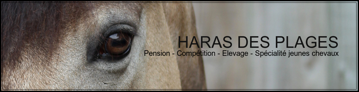 HARAS DES PLAGES